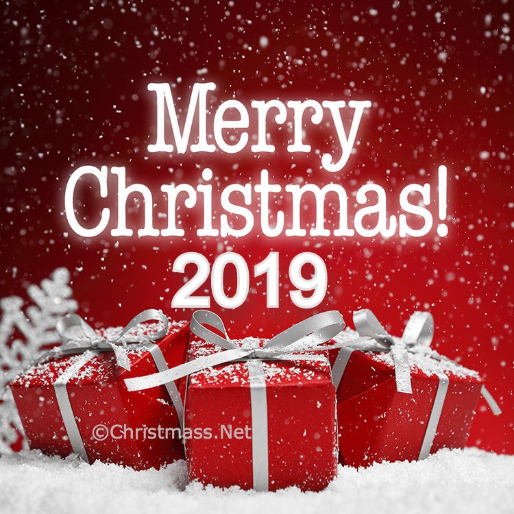 Merry Christmas 2019 Photos